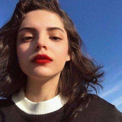 半岛手机综合体育登录