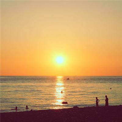 米乐网下载手机版