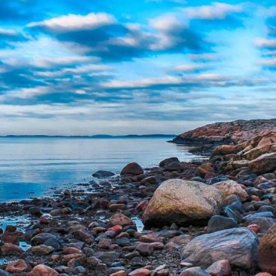 best365体育版官网下载