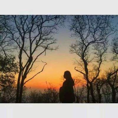 十大体育外围平台网址