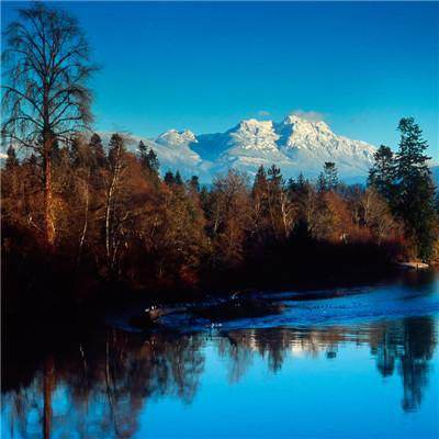 关于“开云电竞APP”