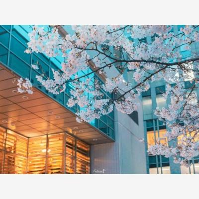 安博.体育下载手机版