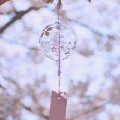 竞赛足球app下载